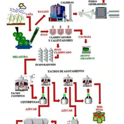 Producción de la azucar