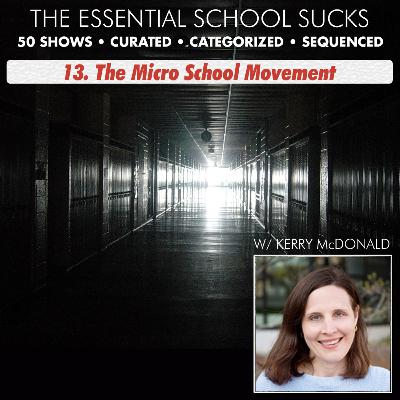 13. The Micro School Movement