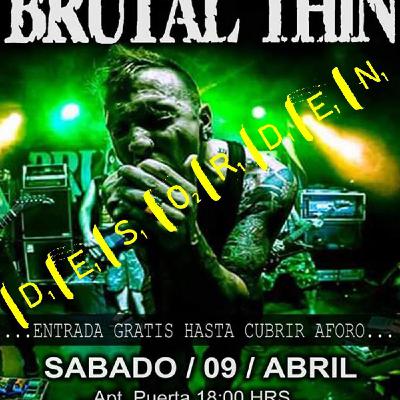 Immenkist - Folge 55: Wandern Mit Den Bienen