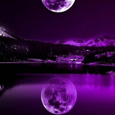 UNA SELVA DE MUCHOS MUNDOS ♥️