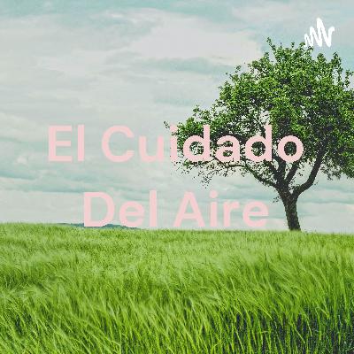 El cuidado del aire