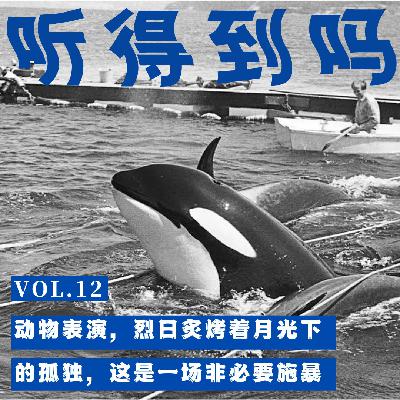 VOL.12 动物表演,烈日炙烤着月光下的孤独,这是一场非必要施暴 VOL.12 动物表演,烈日炙烤着月光下的孤独,这是一场非必要施暴