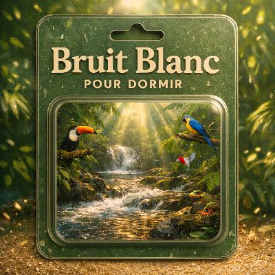 1 H Bruit Blanc pour DORMIR | Relaxation dans la jungle 1 H Bruit Blanc pour DORMIR | Relaxation dans la jungle