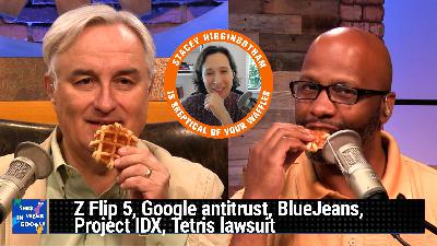 TWiG 728: Stupid Dove Nests - Z Flip 5, Google antitrust, BlueJeans, Project IDX, Tetris lawsuit