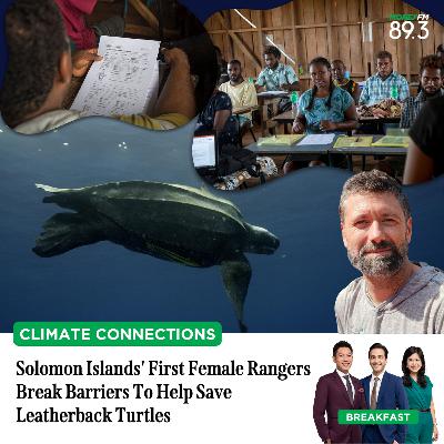 Climate Connections: Solomon Islands' First Female Rangers Break Barriers To Help Save Leatherback Turtles