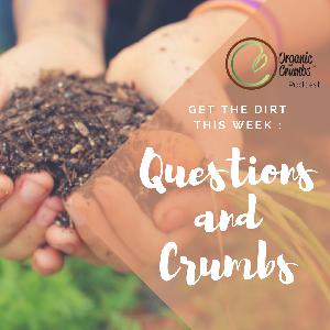 E32: Questions and Crumbs (Digging through the Mail Bag!) E32: Questions and Crumbs (Digging through the Mail Bag!)