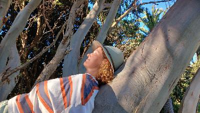 Loo's journey to find home Loo's journey to find home