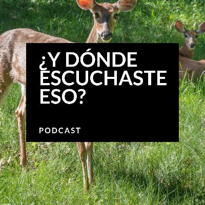 Y DÓNDE ESCUCHASTE ESO CAP 3 - PRIMAVERA VERANO