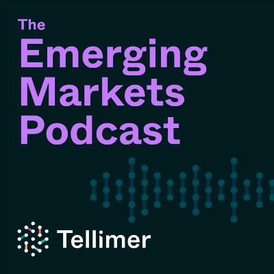From Tariffs to Tight Spreads: 2025 in Review for Emerging Markets