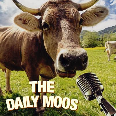 Episode 052 - The one with Valentines Day. Episode 052 - The one with Valentines Day.