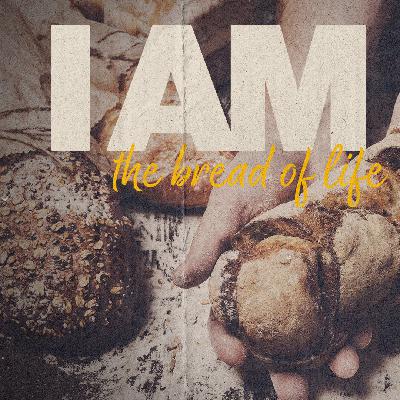 John 6:25–35