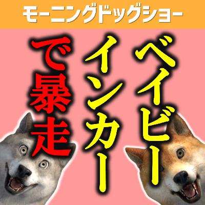 Baby in Carを貼ってる車に思うこと Baby in Carを貼ってる車に思うこと