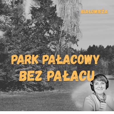 Park bez Pałacu: sekret Białowieży, który ukoi tęsknotę za naturą #317