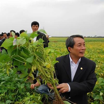 Chân dung cuộc sống - Người gieo mầm cho những mùa vàng Chân dung cuộc sống - Người gieo mầm cho những mùa vàng