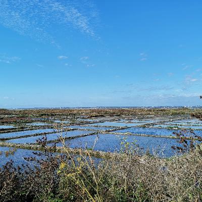 Escapade n°14 : Batz-sur-mer, entre littoral et marais salants Escapade n°14 : Batz-sur-mer, entre littoral et marais salants
