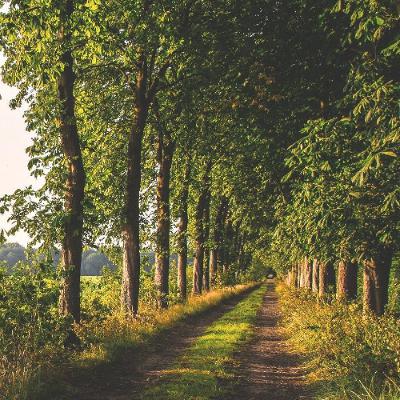 [하나님께서 숨을 불어넣으신 말씀]딤후3:10-17