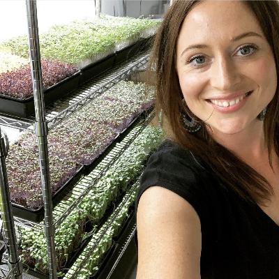 Sunbird's Microgreen Farm