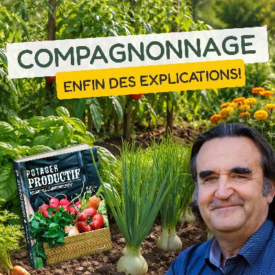 Compagnonnage : enfin des explications! Avec Bertrand Dumont.