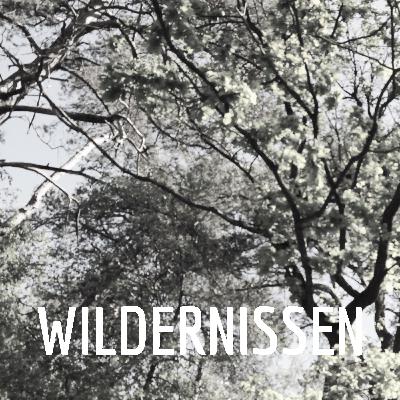 Wildernissen 3: On(t)tembare natuur met Norbert Peeters