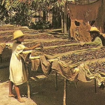 Dorothée, don de Dieu - De Chloé Beccaria