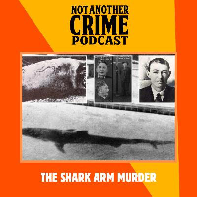 BONUS: The Shark Arm Murder with Jackson Baily BONUS: The Shark Arm Murder with Jackson Baily