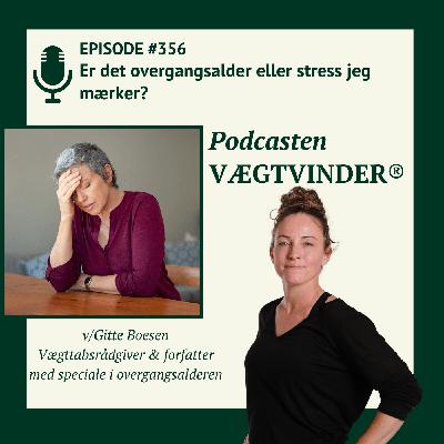 Er det overgangsalder eller stress jeg mærker?