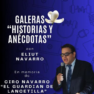 Día del Árbol: entre el discurso, la destrucción y la defensa del bosque.