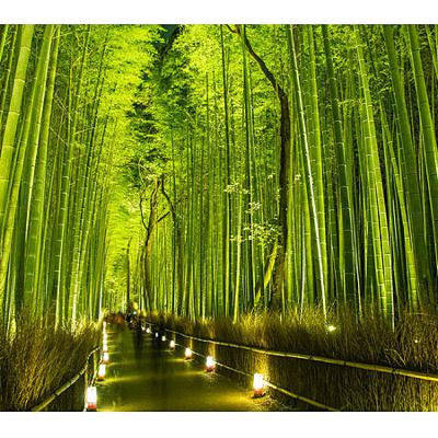 第十六期 古都 川端康成