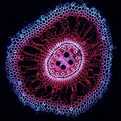 E12 - Synthesizing Our Genetic Future, with Andrew Hessel