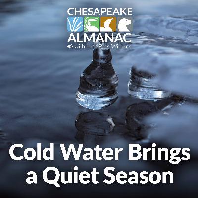 February: Cold Water Brings a Quiet Season