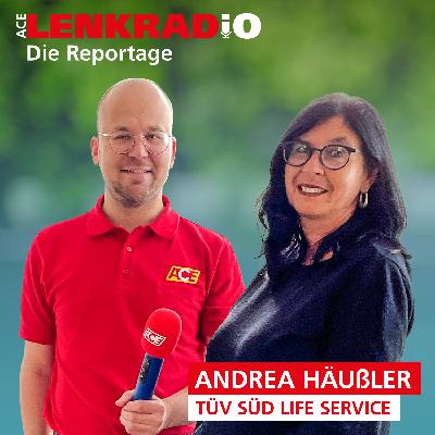 MPU - mehr als ein "Idiotentest"