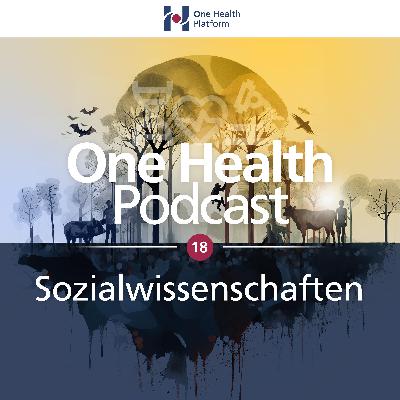 Sozialwissenschaften