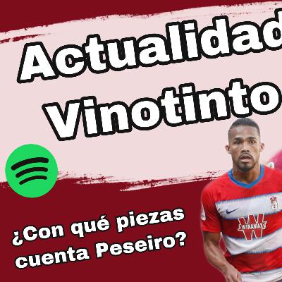 ACTUALIDAD VINOTINTO. A UN MES DE LA FECHA FIFA, ¿CON QUÉ JUGADORES CUENTA PESEIRO?