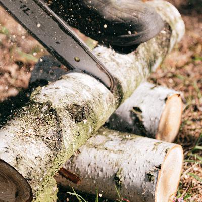 A chainsaw with a kickback A chainsaw with a kickback