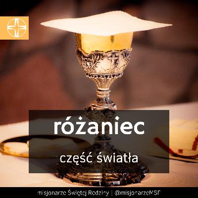 RÓŻANIEC - tajemnice światła - różaniec z MSF