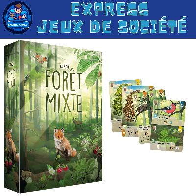 Test Express : Forêt Mixte –  Un des jeux de société de l'année ?