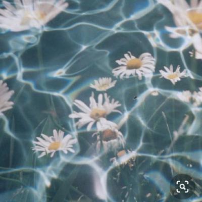 In a world of made perfections