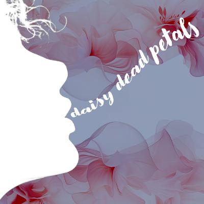 04162026 Daisy Dead Petals