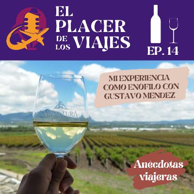 Ep.14 Mi experiencia como enófilo con Gustavo Méndez