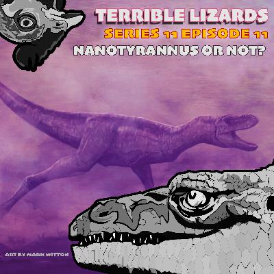 Nanotyrannus or not?