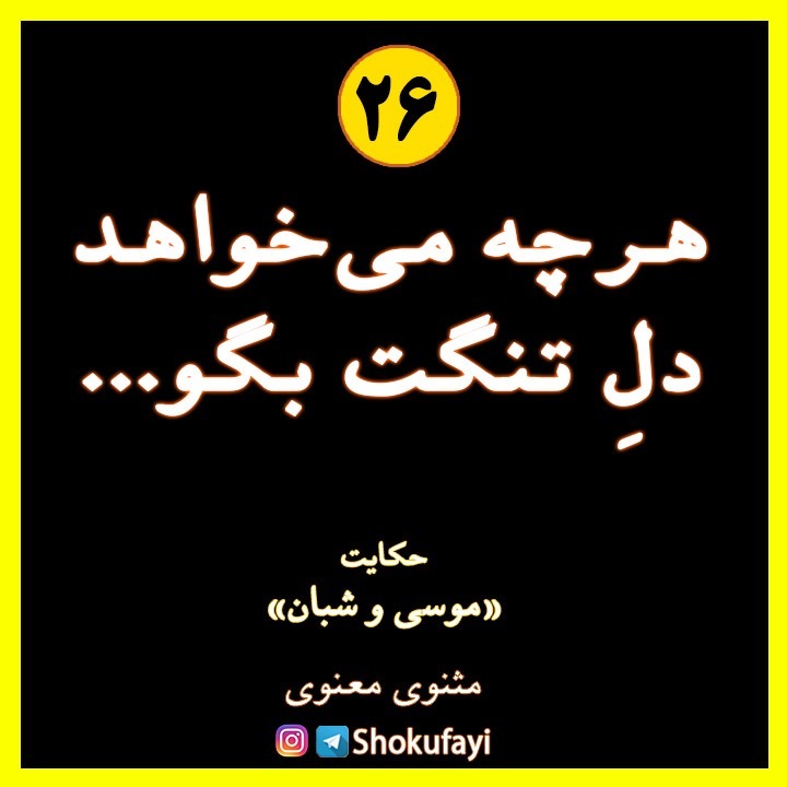 هرچه می‌خواهد دل تنگت بگو