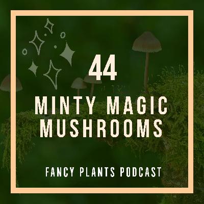 44. Minty Magic Mushrooms