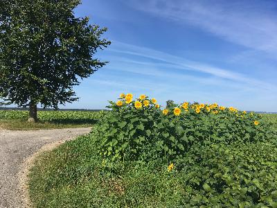 BG060 Herbstliche Weiterbildung 1/2 mit Bernhard Heuvel