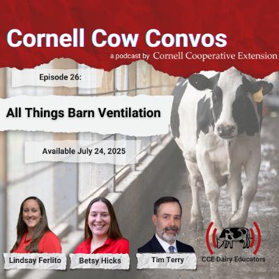 Cornell Cow Convos E26 All Things Barn Ventilation Cornell Cow Convos E26 All Things Barn Ventilation