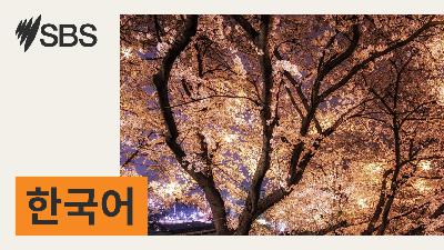 [경주 APEC] 트럼프 “한국 핵추진 잠수함 건조 승인”… 필라델피아 조선소에서 건조