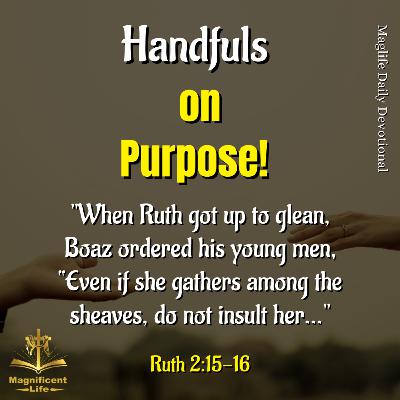 Handfuls on Purpose!