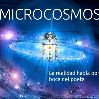 Experiencias con la Fuerza