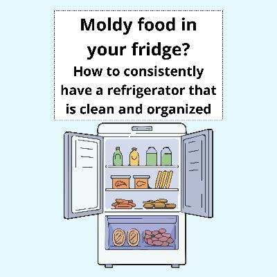 Moldy food in your fridge? How to consistently have a refrigerator that is clean and organized