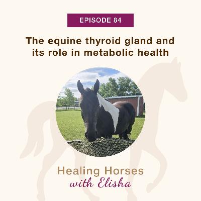 84: The Equine Thyroid Gland and its Role in Metabolic Health