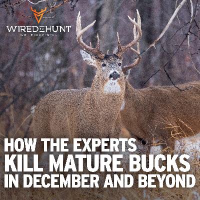 Ep. 981: How the Experts Kill Mature Bucks in December and Beyond Ep. 981: How the Experts Kill Mature Bucks in December and Beyond